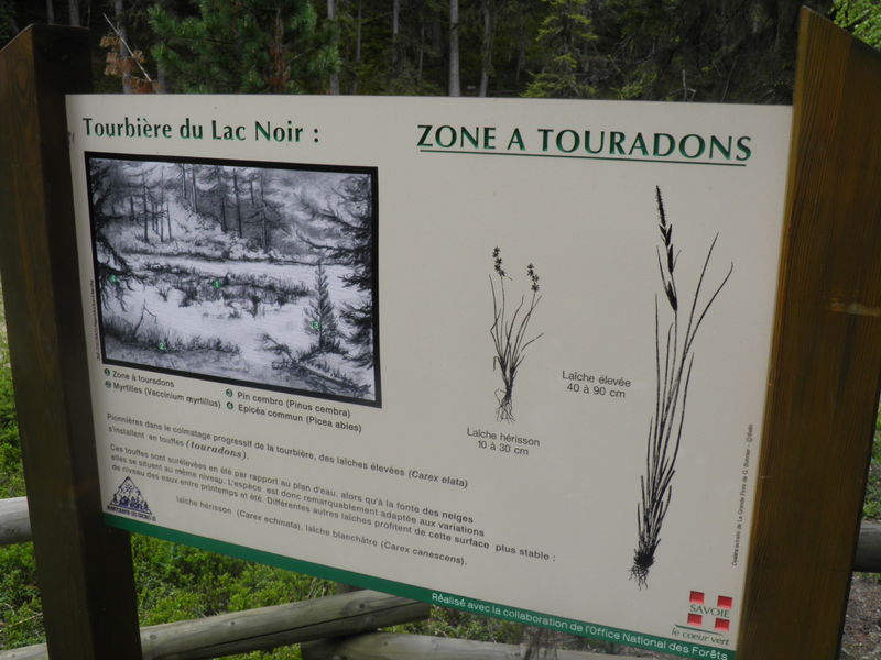Tourbière du Lac Noir