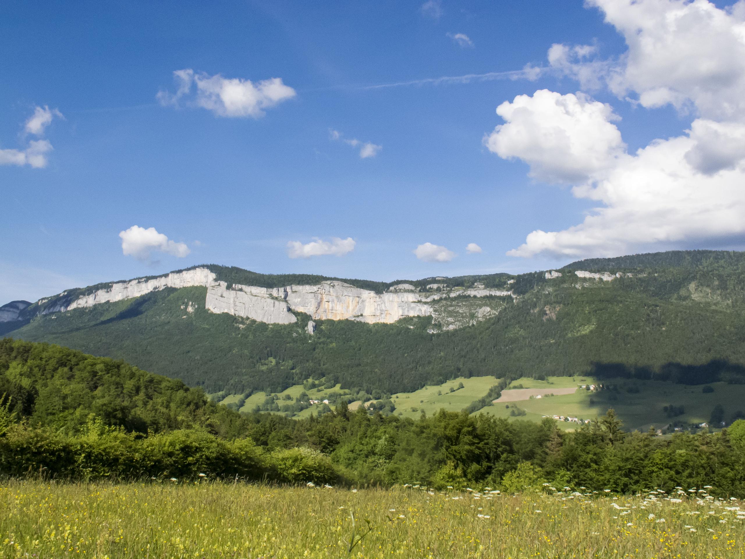 Flanc de falaise imposant entouré de forêts et de prairie