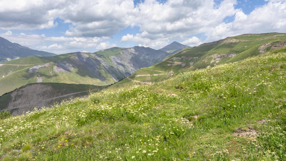 Loutre de Quoa - Randonnée depuis Besse-en-Oisans_Besse-en-Oisans