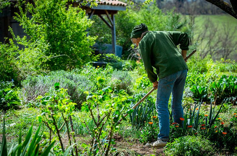 Travail dans un champ