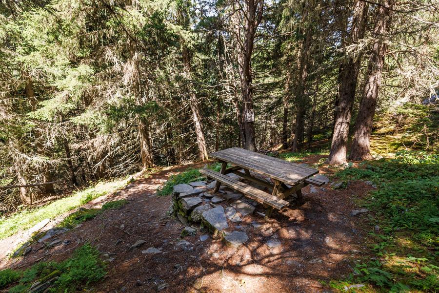 Aire de pique-nique du sommet du sentier botanique_Méribel