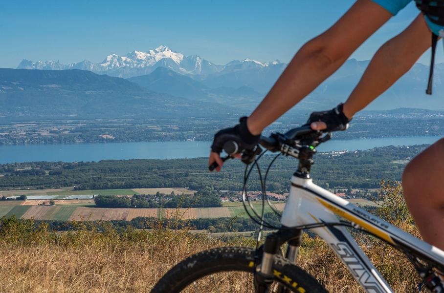 Vélo vue Mont Blanc