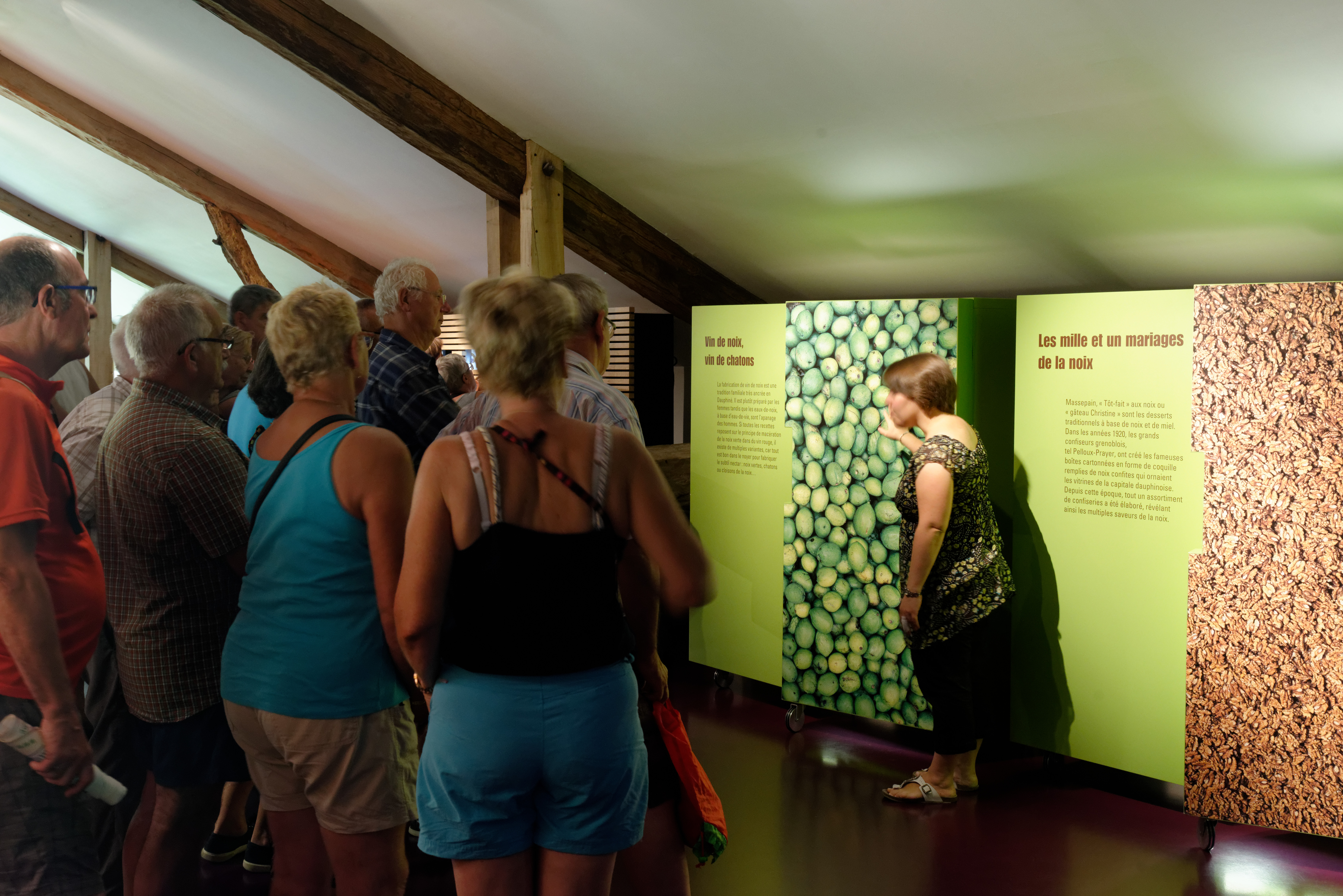 sech16-20103.jpg
