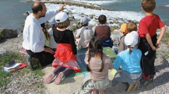 Zoom sur la rivière sauvage