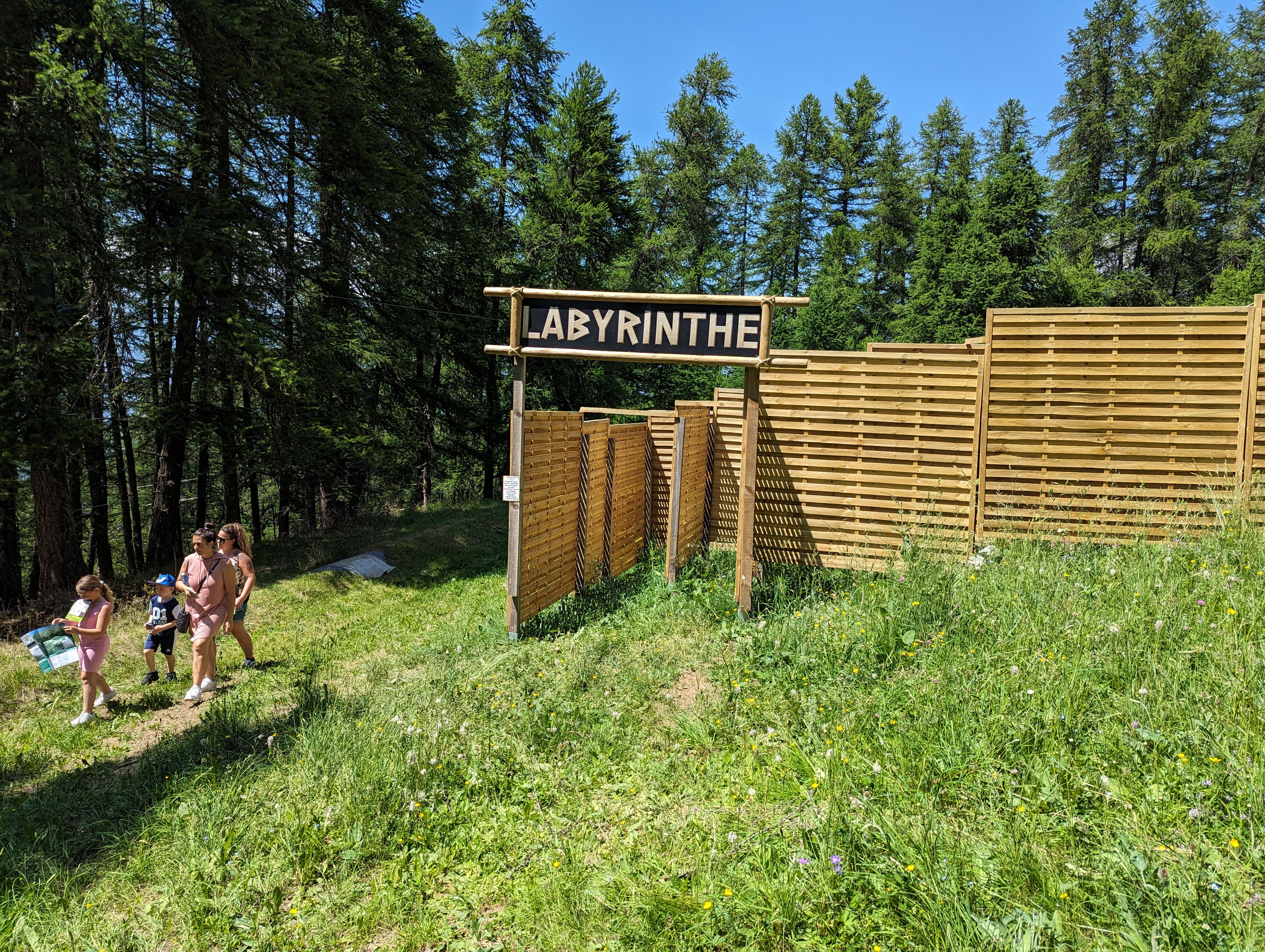 Labyrinthe - Jungle Aventure