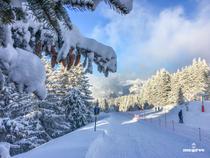 Vue sur la piste