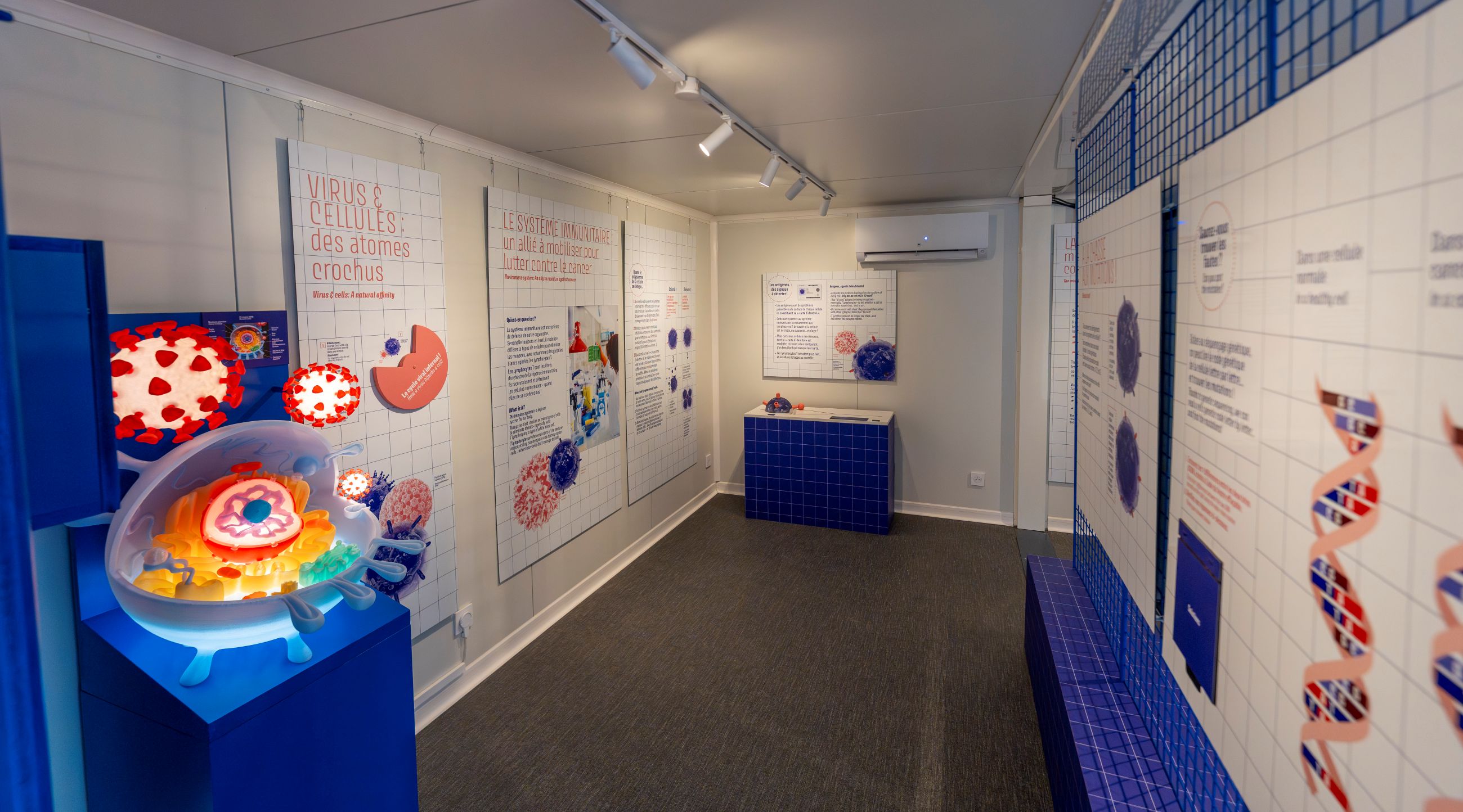 Exposition temporaire - Cancers : la face cachée des virus