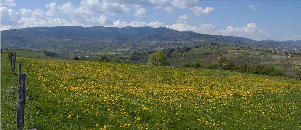 Randonnée le pont de Limonne