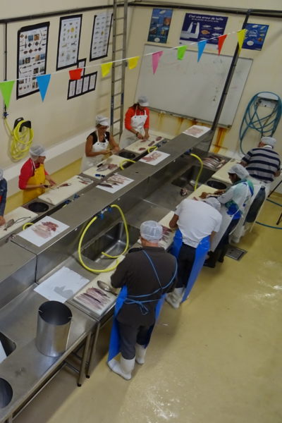 Taller - Atelier Comme un mareyeur