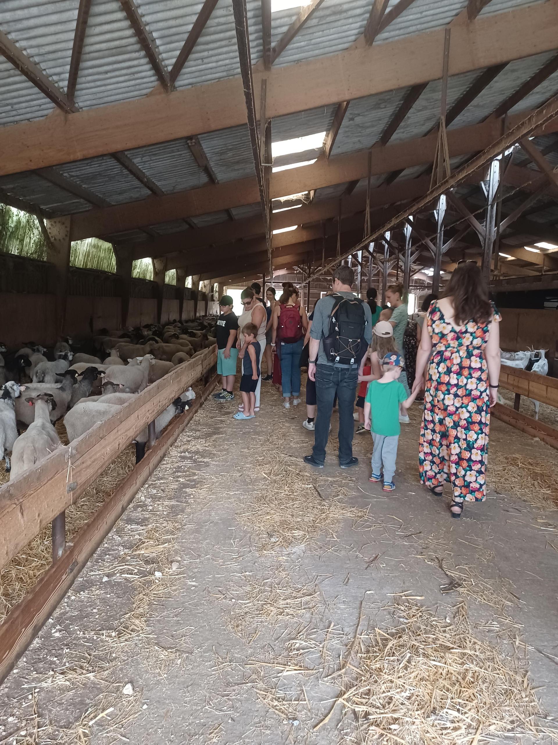 Découverte de la ferme