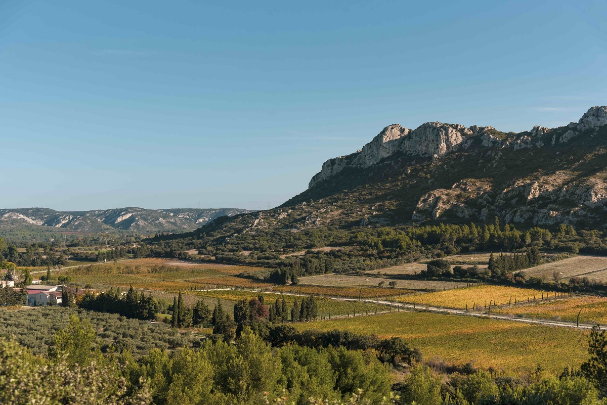 Domaine Vallon des Glauges, Eyguières - photo 9
