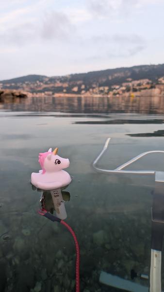 Plage des Marinières, Tôt le matin 