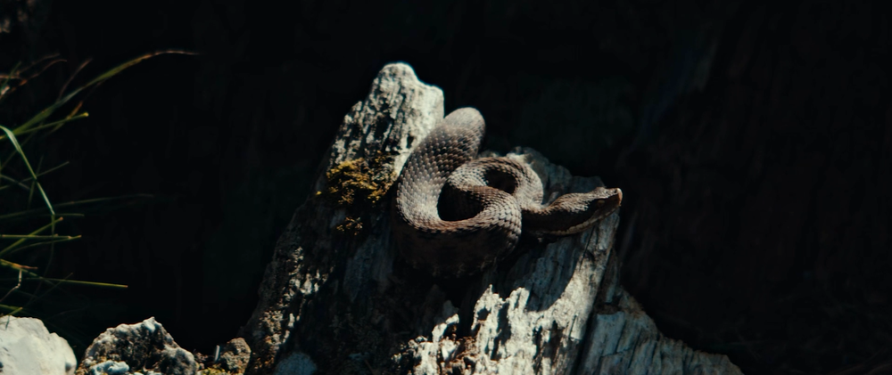 Extrait du film Aspis