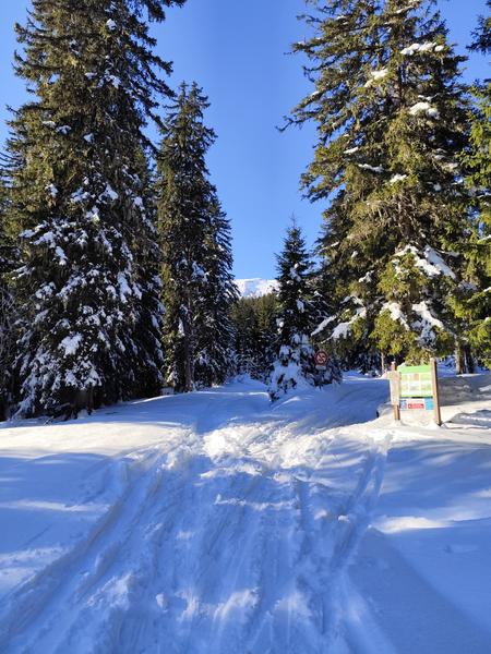 Boucle des Plaines - sentier raquettes_Cordon