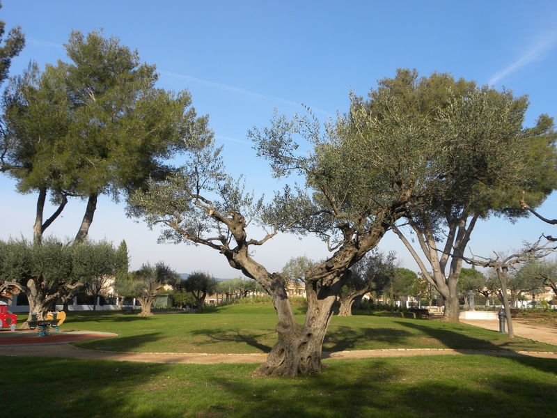 Jardin des Oliviers à La Londe les Maures