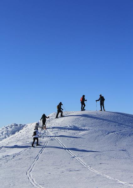 La montagne l'hiver, randonnée accompagnée