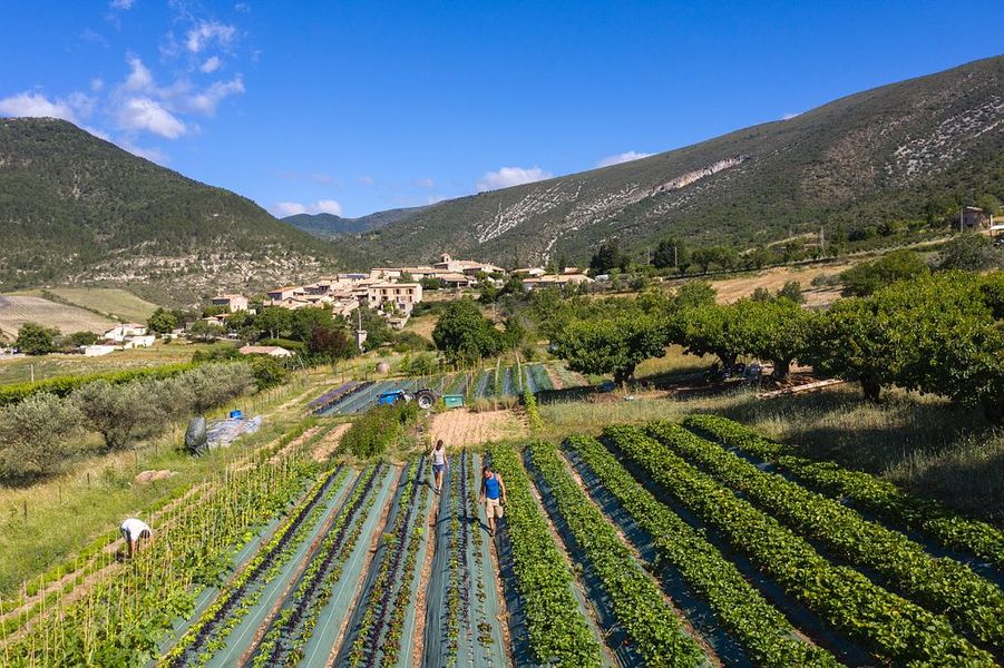 Le jardin et le village