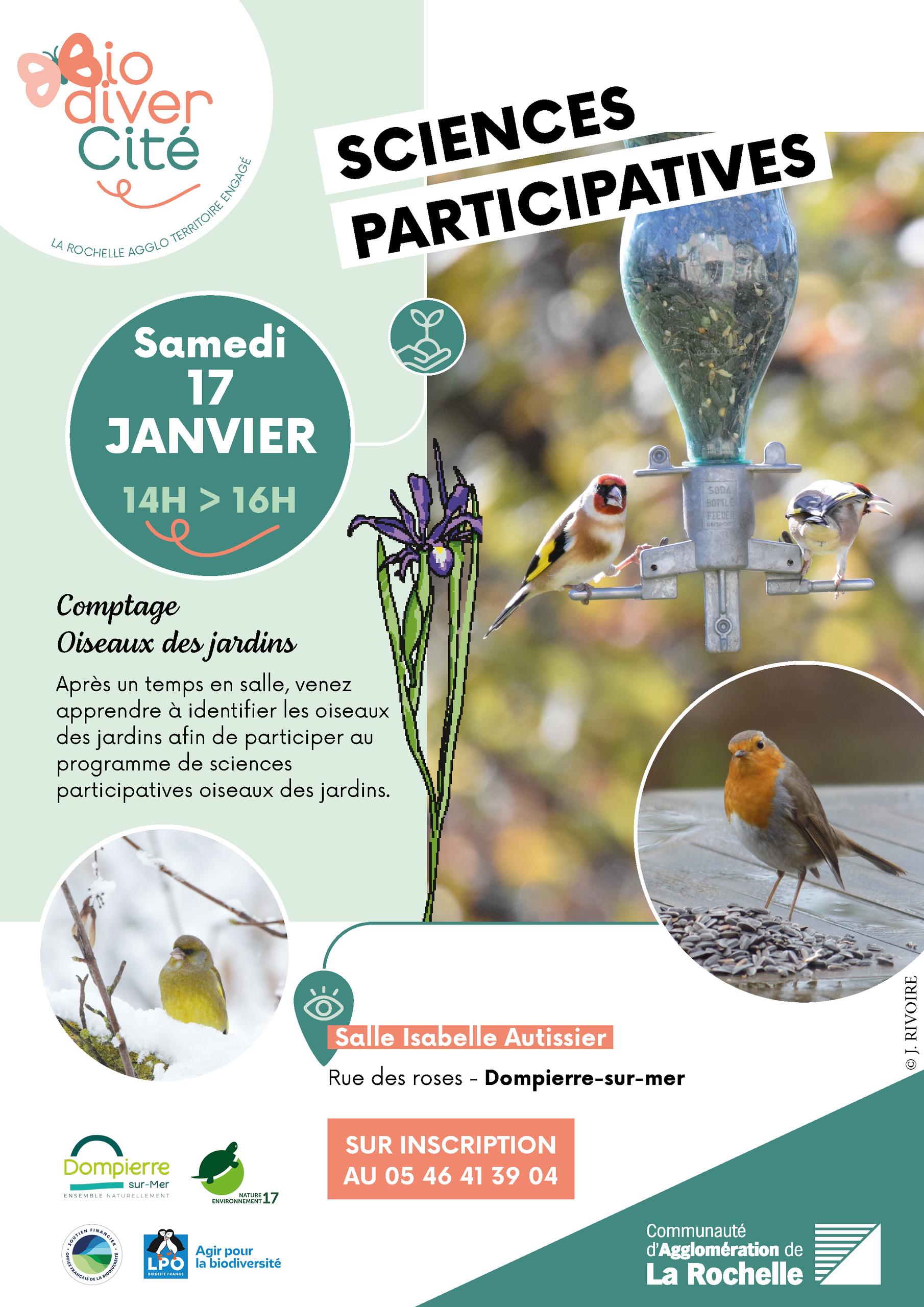 Comptage des oiseaux des jardins