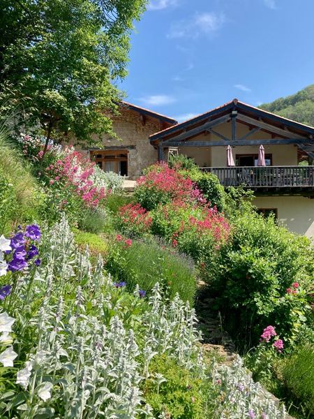 Le jardin de vivaces