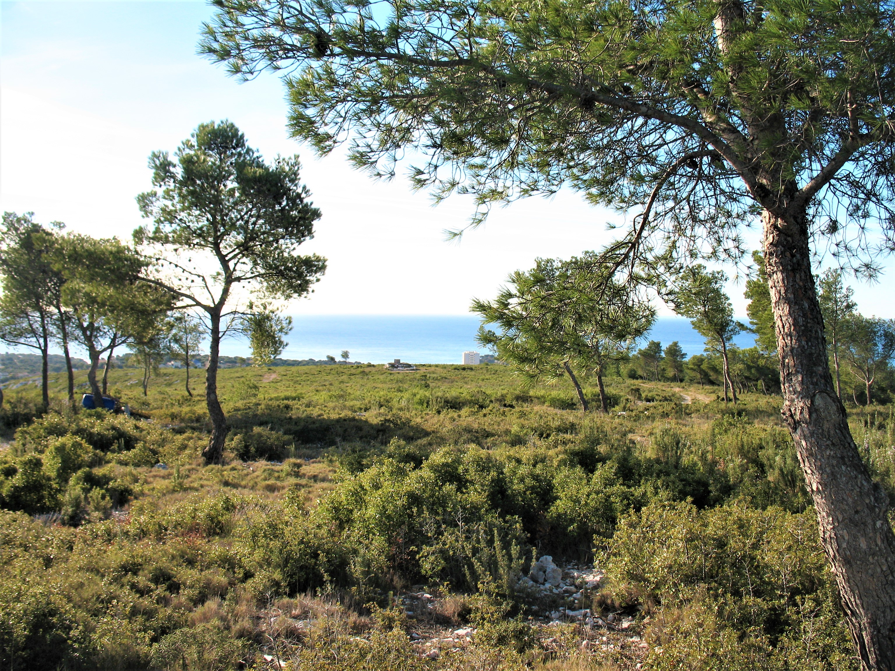 Topo rando Le Tour du Romaron, Carry-le-Rouet - photo 2