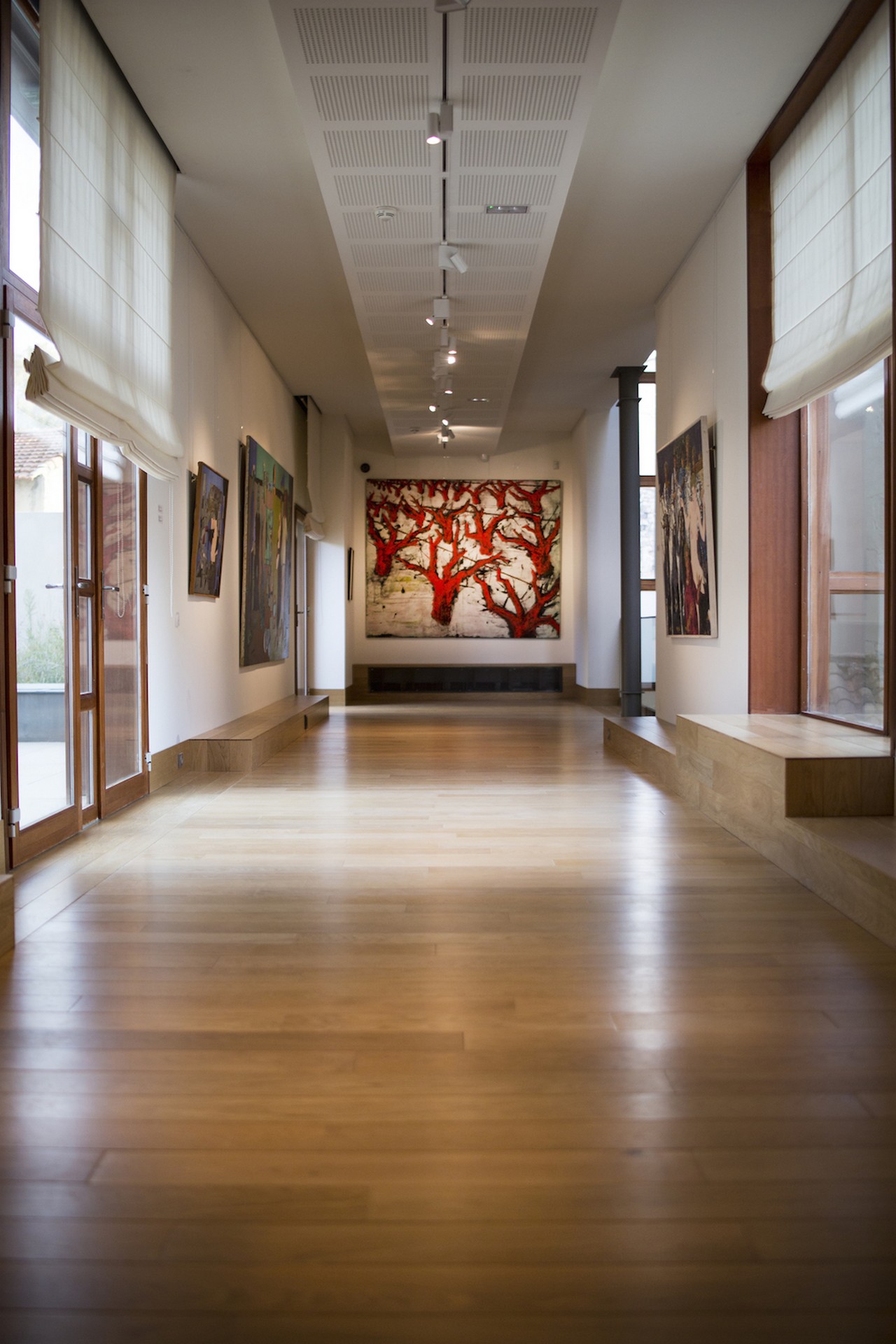 Musée Estrine, Centre d'Interprétation Vincent van Gogh, Saint-Rémy-de-Provence - photo 5