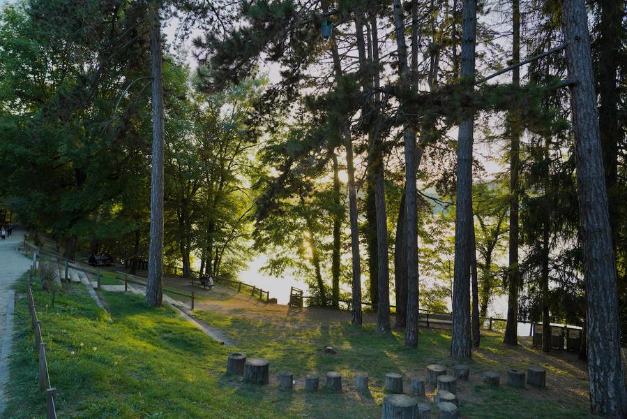 Bois d'amour en 2023