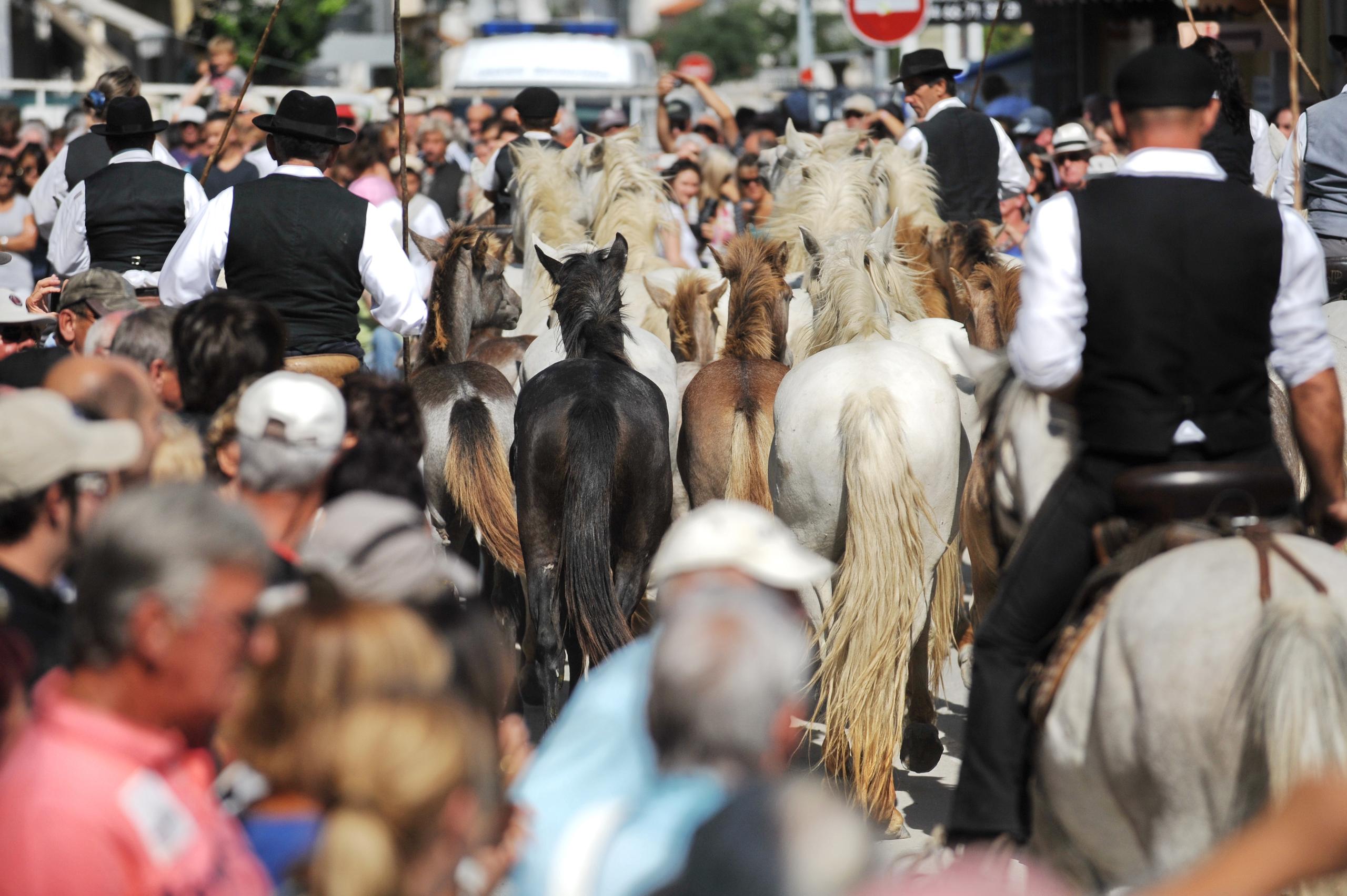 Fête votive du Grau du Roi