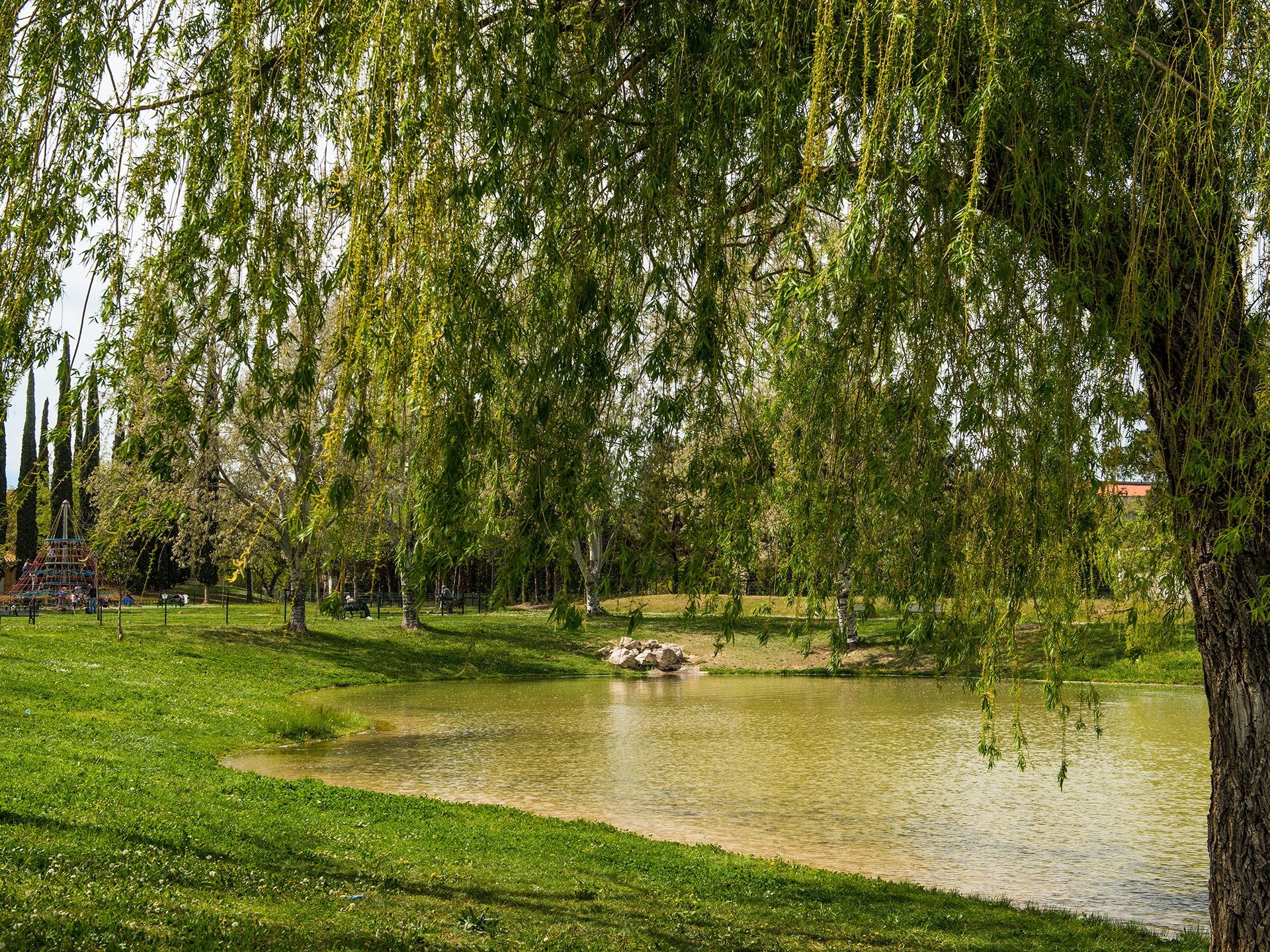 Parc Gilbert Vilers - photo 5