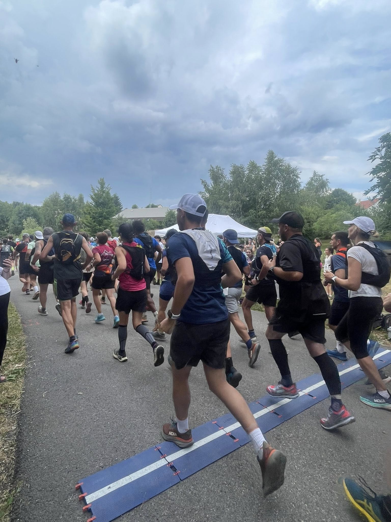 Trail des Violettes