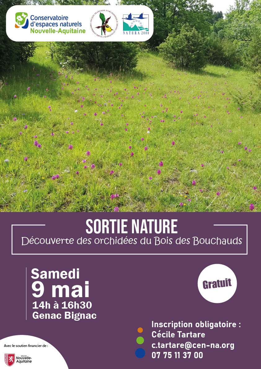 Sortie Nature: Découverte des orchidées du Bois des Bouchauds.