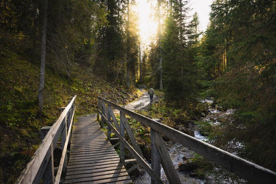 Morgins - Sentier des abeilles (sentier apicole)_Morgins