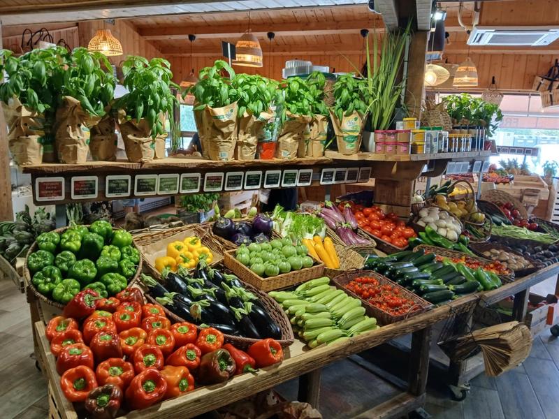 Fruits et légumes du Logis du Pin_La Martre