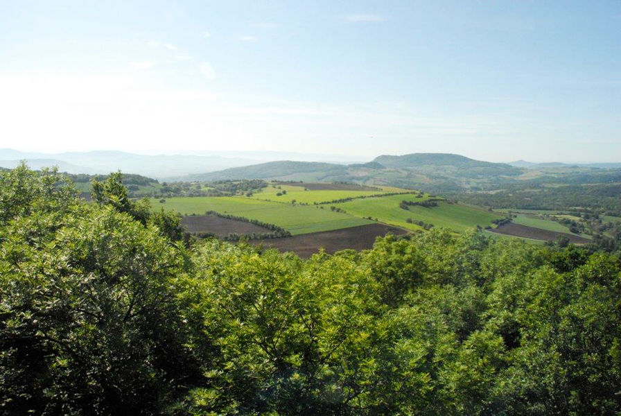 L'Étang de la Prairie