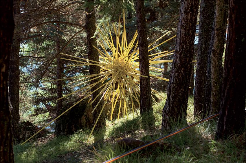 Le parcours des arts à l'arboretum