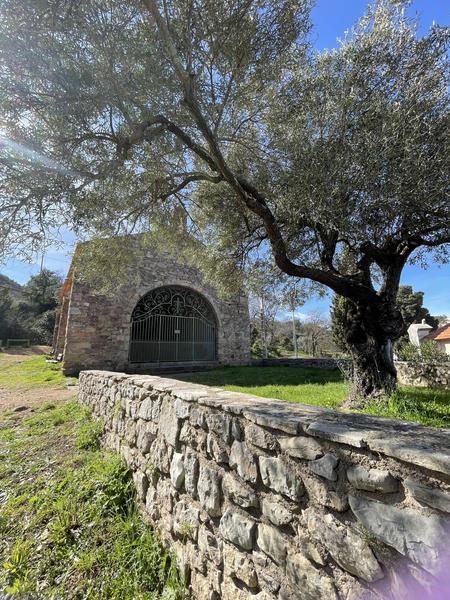 Randonnée découverte de la flore méditerranénne avec guide SAB Esterel_Roquebrune-sur-Argens
