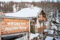 Anna Ivanova Photography - Abries - Ancolie Bleue - BD-31