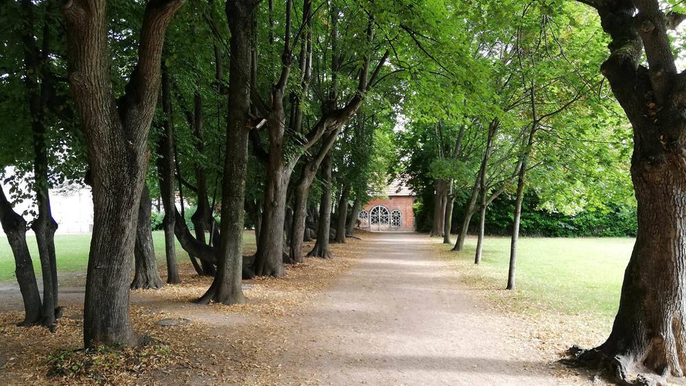 Le parc Pierre-Montgroux et l'Espace naturel protégé
