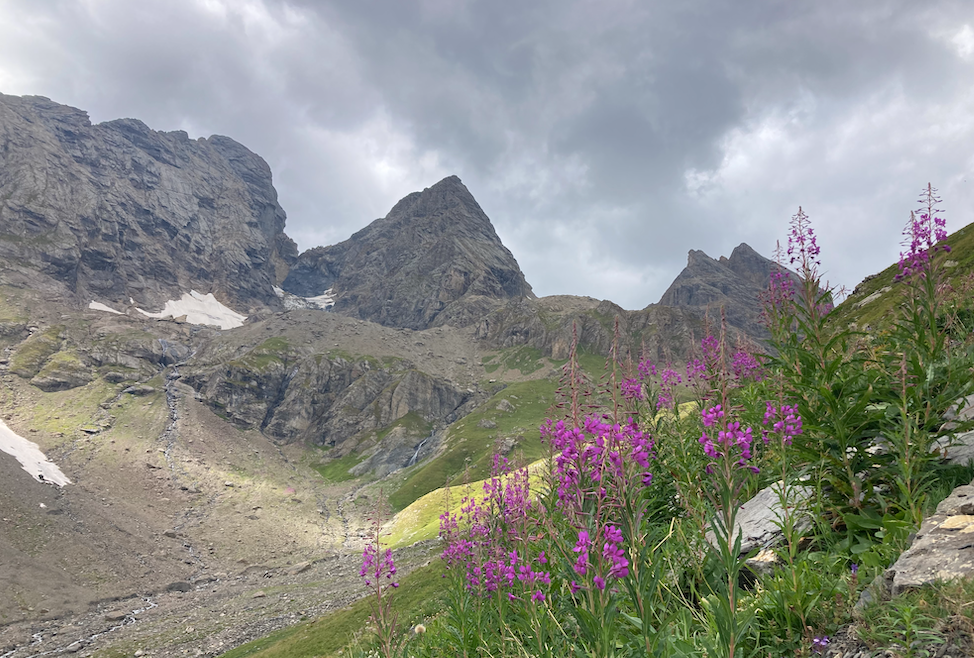 nature