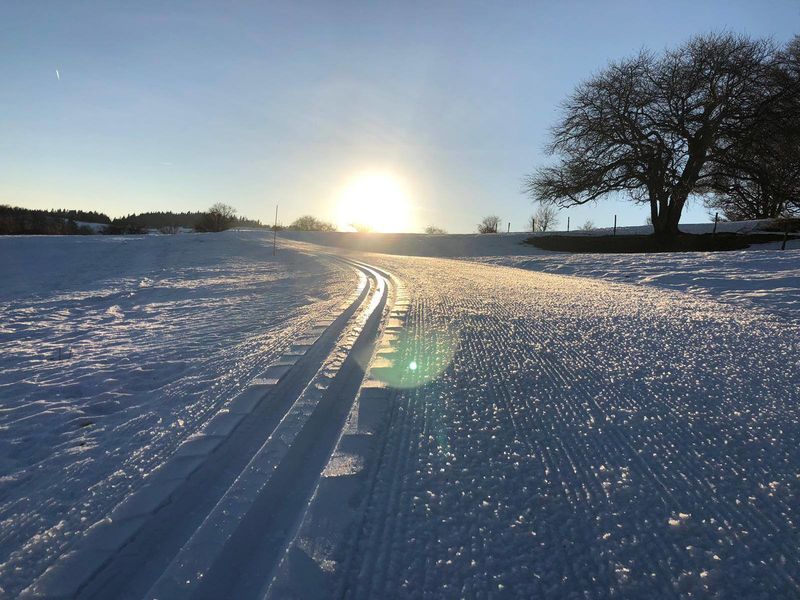 Prêts à affronter une nouvelle semaine ensoleillée à ski ?
** Foyer ouvert tous les jours **