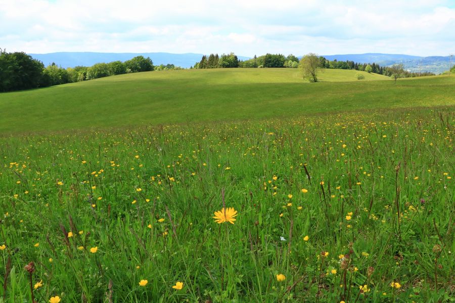 Le Tour du Valromey au départ des Plans d'Hotonnes
