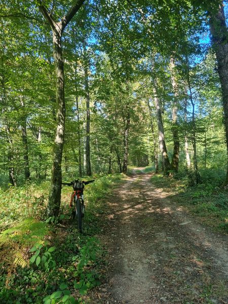 Les grandes terres de Marboz