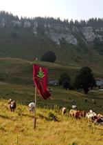 L’antre de la gentianaire_Pont-en-Royans