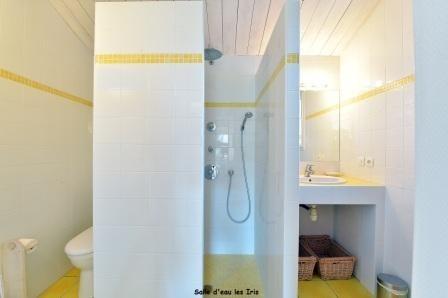 Une salle d'eau avec douche, lavabo et toilette.