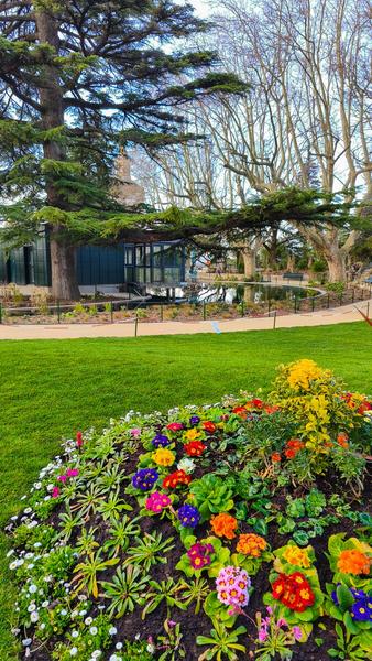 Le jardin du Rocher des Doms_Avignon