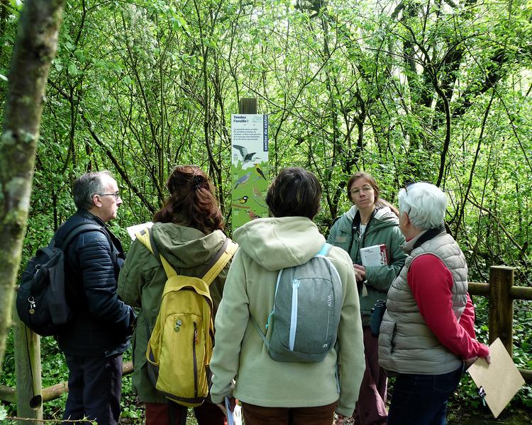 Animation Chants d'oiseaux