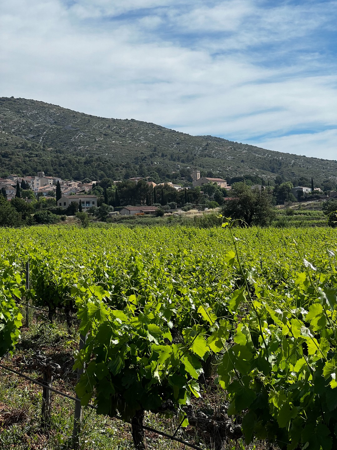 Bibliothèque municipale de Puyloubier