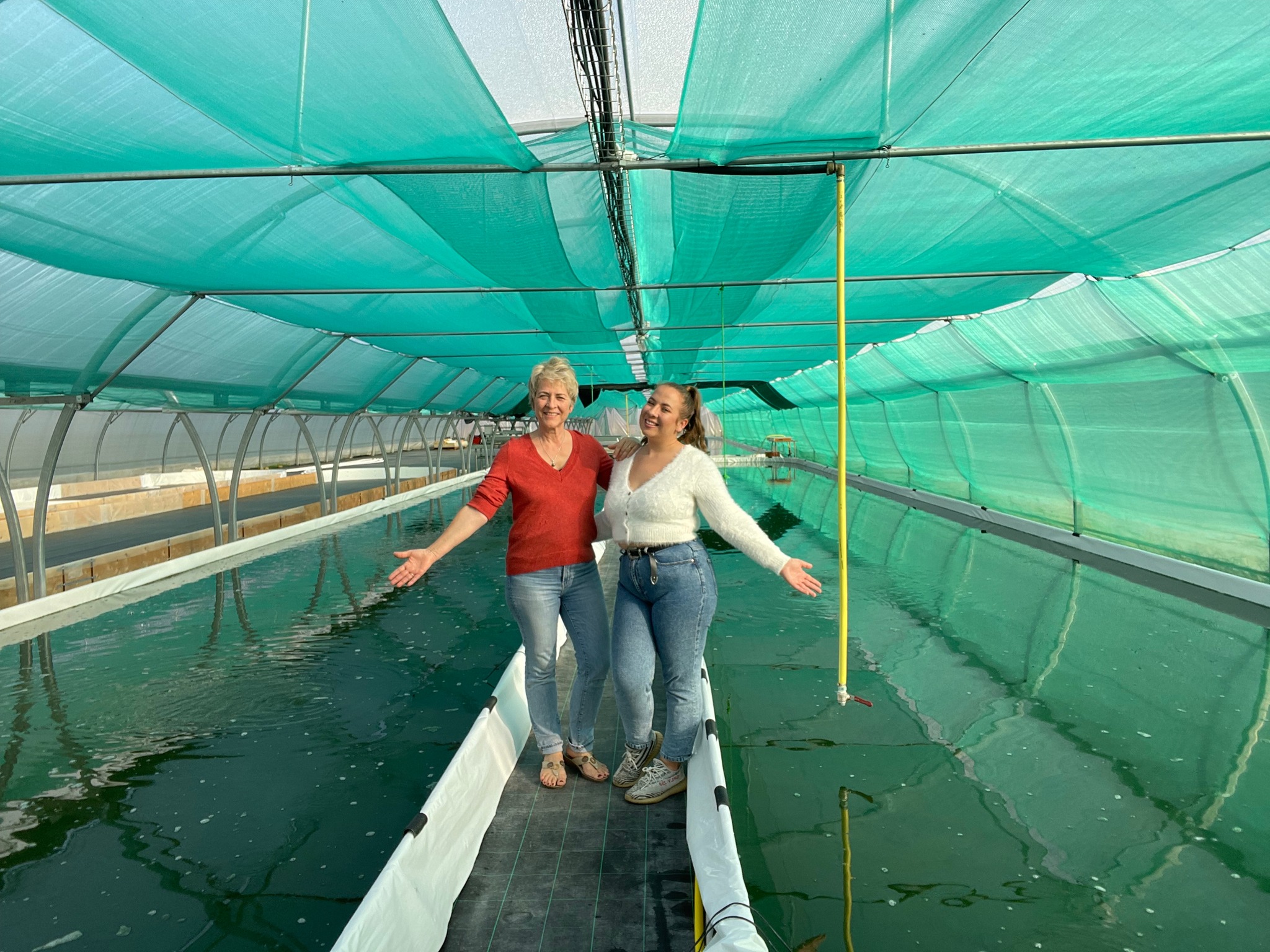 Visite découverte de la spiruline