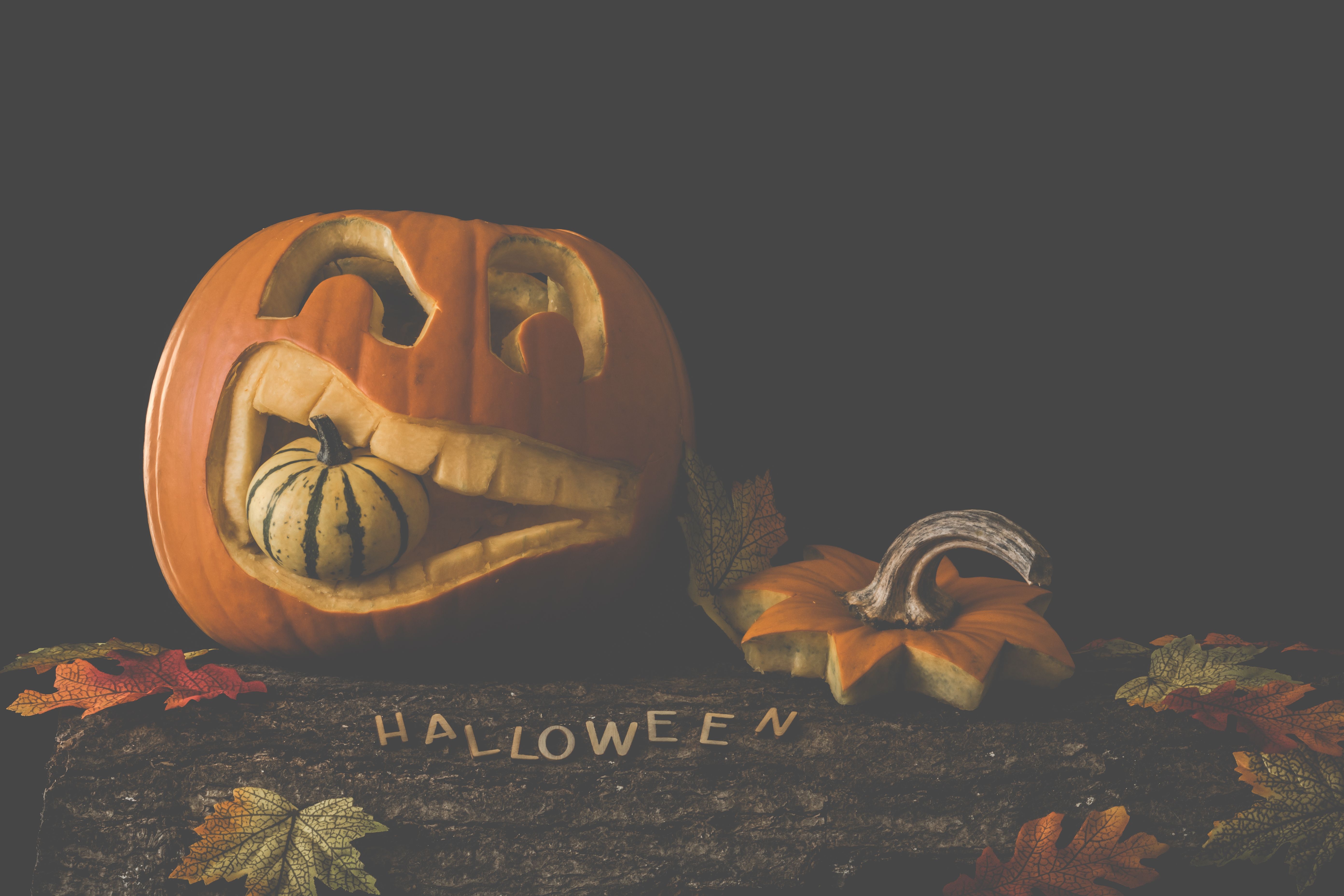 Halloween frissonant - Le Grand Urbex - adultes