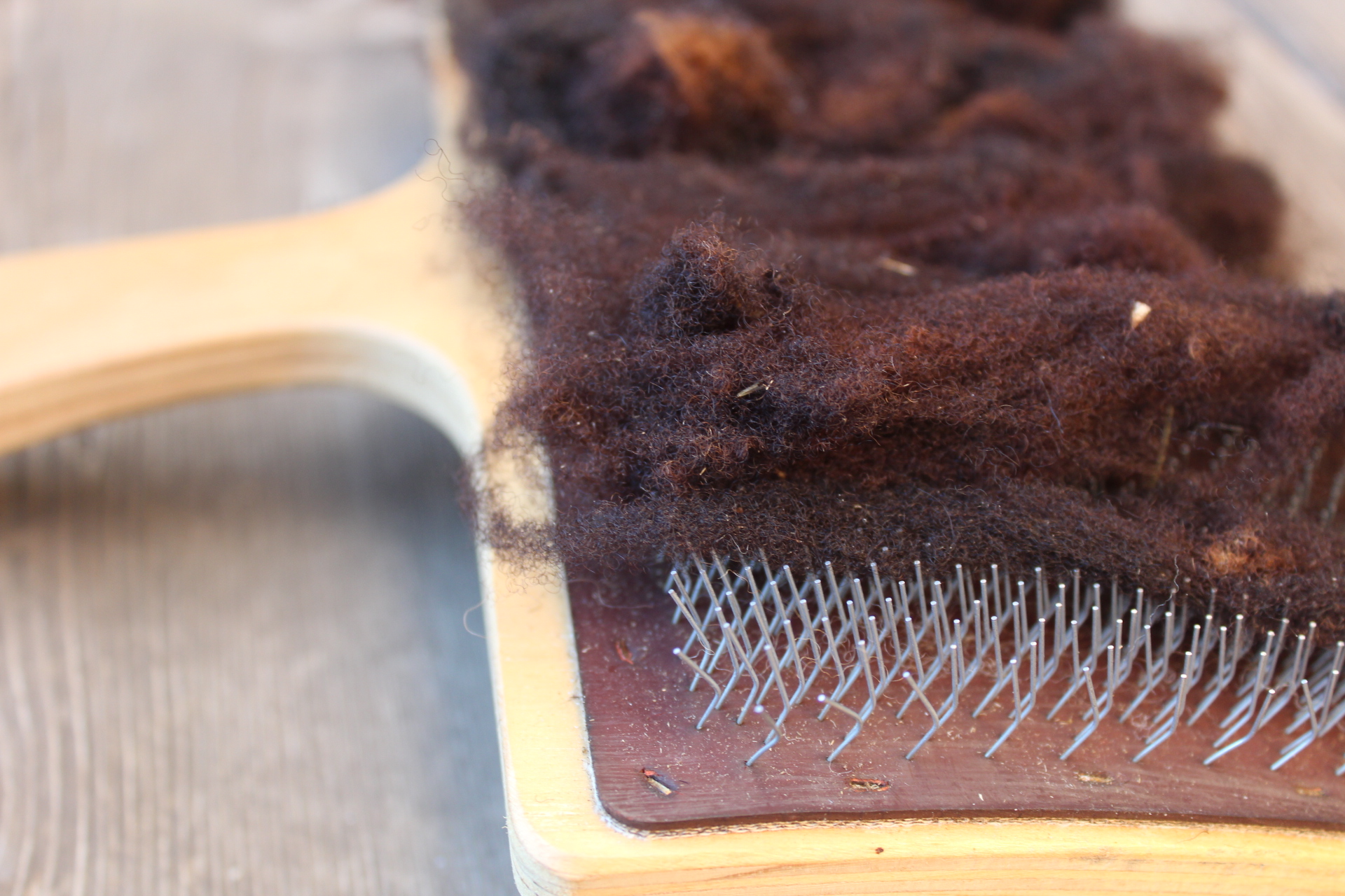 Sur les Chemins de la Laine - Fibres de laine