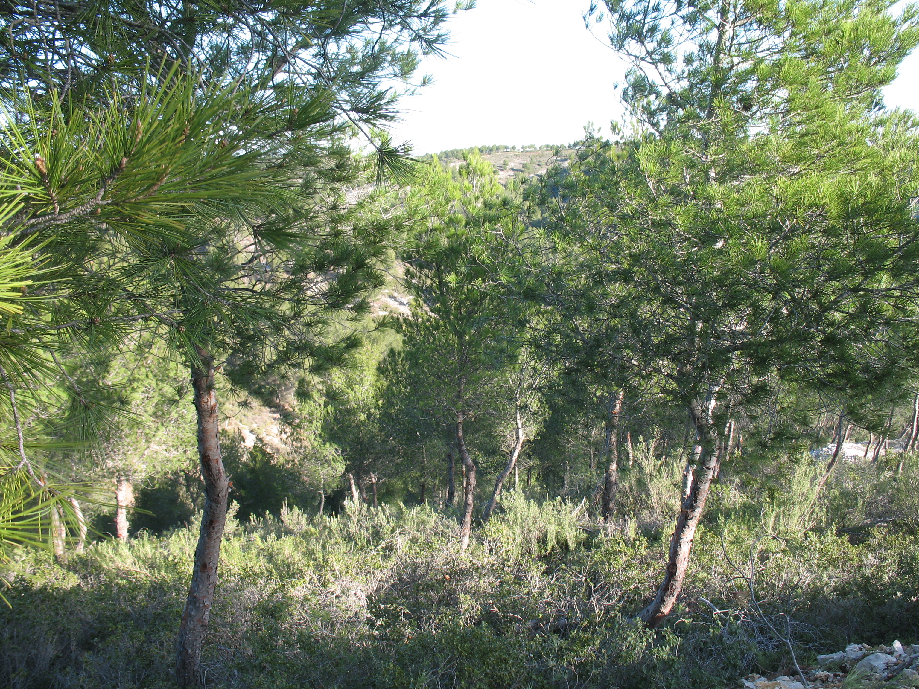 Topo rando Le Tour du Romaron, Carry-le-Rouet - photo 3